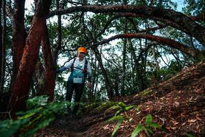 BIB: 
                            <button type="button" onclick="openModal(26346952)" class="btn btn-primary btn-sm float-right btn-popup" data-toggle="modal" data-target=".modal-high-quality">
                        <i class="fas fa-shopping-cart"></i> Add to Cart
                    </button>
                                            <button type="button" onclick="isThisMe(26346952, true)" class="btn btn-success btn-sm float-right btn-popup btn-isme hidden" data-toggle="tooltip" data-placement="bottom" title="นี่คือรูปของคุณใช่ไหม คลิกที่นี่เพื่อเอาเข้าอัลบั้ม">
                        <i class="fas fa-plus"></i> Add to album
                    </button>
                    <button type="button" onclick="isThisMe(26346952, false)" class="btn btn-warning btn-sm float-right btn-popup btn-isnotme hidden">
                        <i class="fas fa-ban"></i> Remove from album
                    </button>